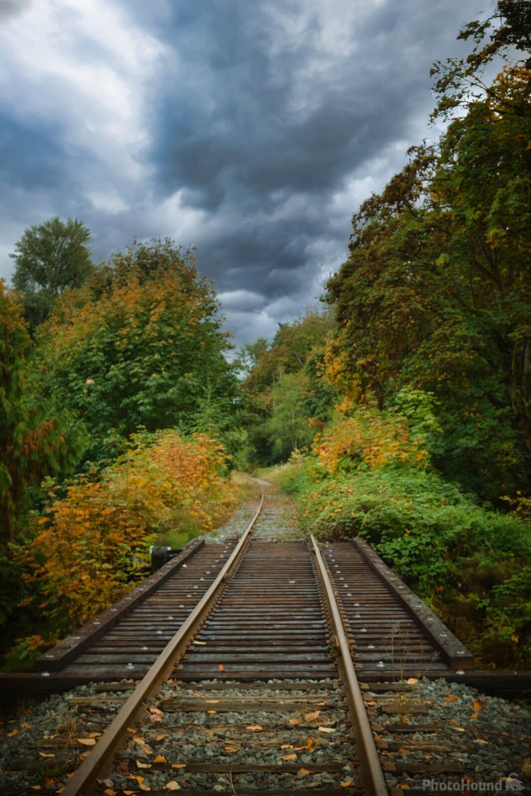 Image of Abandoned Railroad Tracks Clearview, WA by Steve West