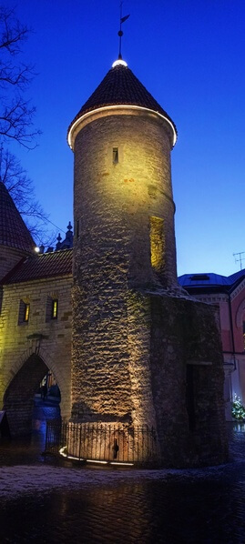 One of the towers of Viru gate