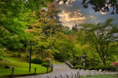 Image of Washington Park Arboretum - Washington Park Arboretum