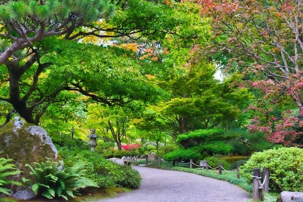 The Seattle Japanese Garden is within the Seattle Arboretum and it is a very busy place to visit, but oh so worth it.  They do NOT allow tripods here, nor any commercial photography!  Please look at their website before you visit. https://www.seattlejapanesegarden.org. 