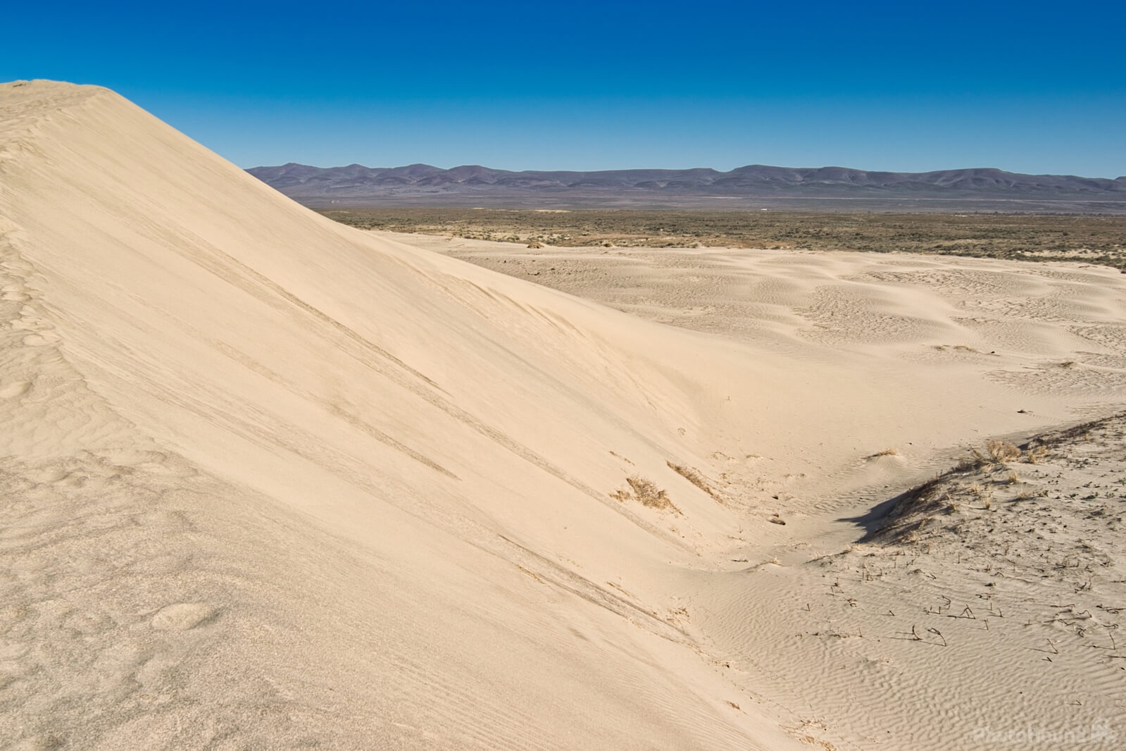 Image of White Bluffs Sand Dunes by Steve West