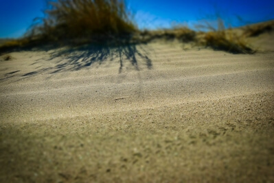 Picture of White Bluffs Sand Dunes - White Bluffs Sand Dunes