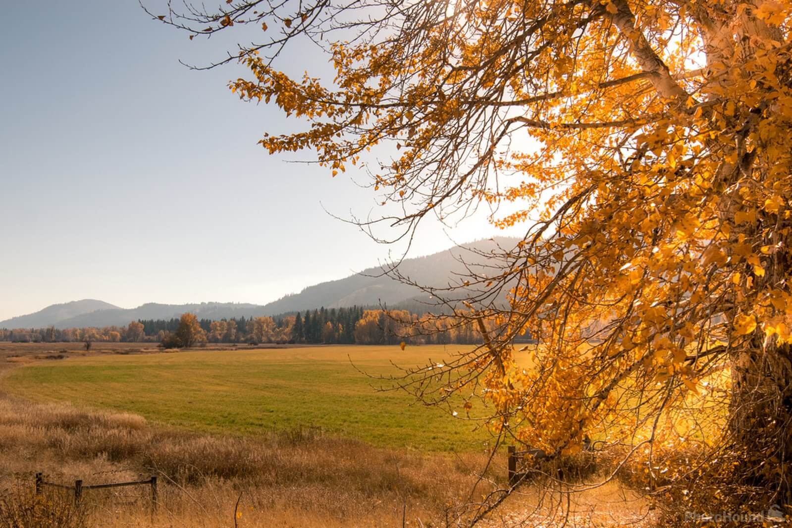 Image of Mazama, Washington Fall Colors by Steve West