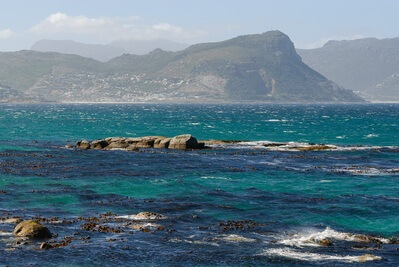 images of South Africa - Boulders Penguin Colony