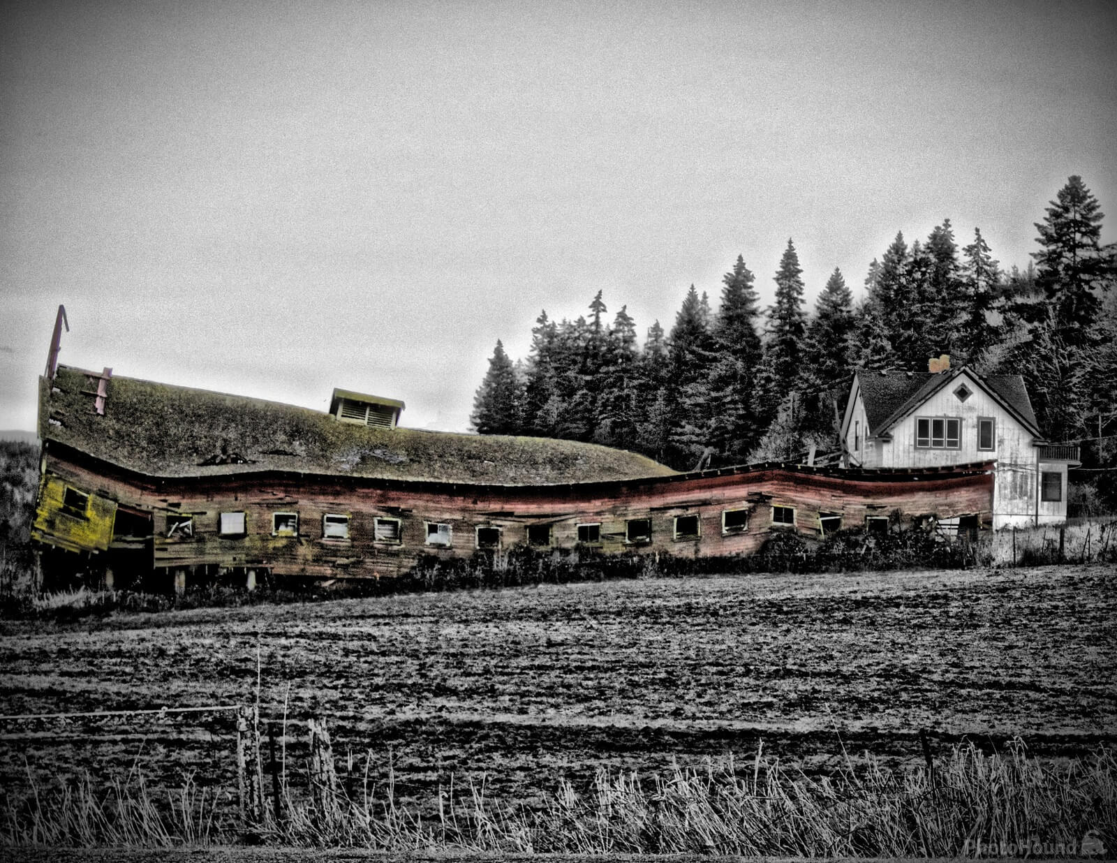 Image of Old Dairy Barn, Beaver Valley Road  by Steve West