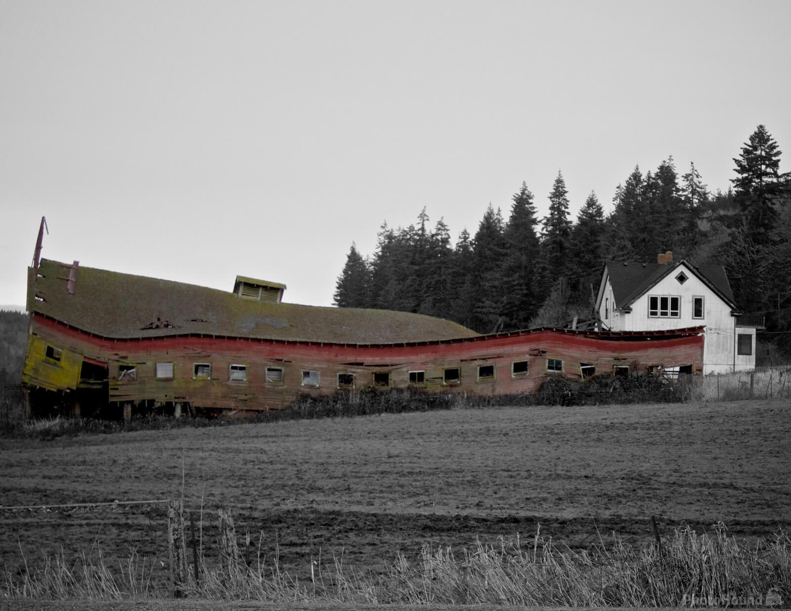 Image of Old Dairy Barn, Beaver Valley Road  by Steve West