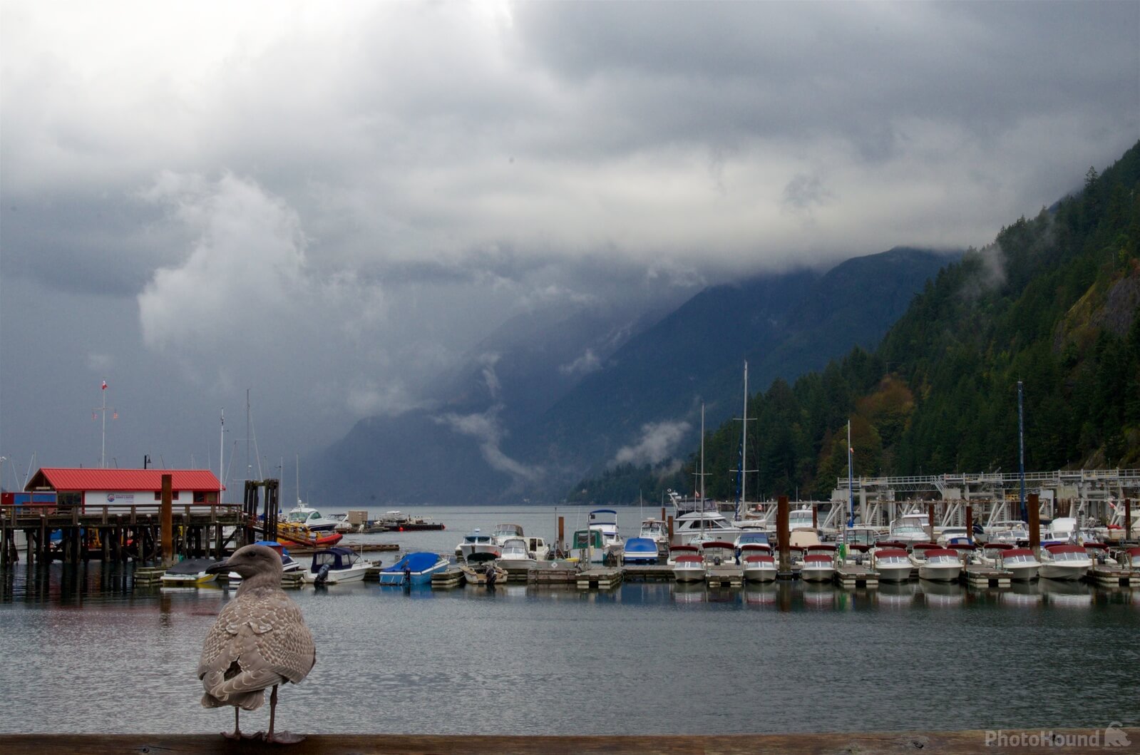 Image of Horseshoe Bay, West Vancouver British Columbia, Canada by Steve West