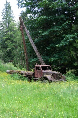 Deming is known locally for it's logging and I suspect this old truck played a part?
