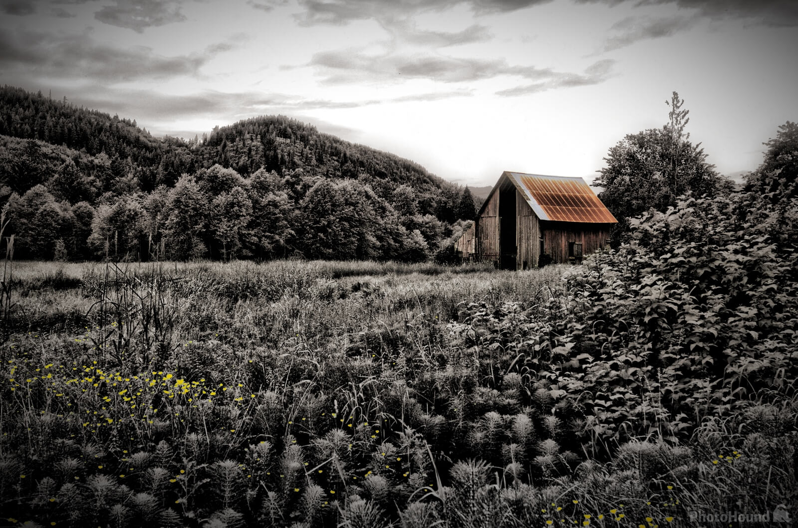 Image of Rusty Roof Barn by Steve West