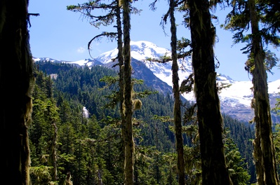 photos of Mount Rainier National Park - Spray Falls, and Spray Park Mount Rainier