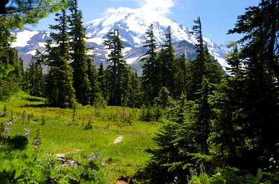Picture of Spray Falls, and Spray Park Mount Rainier - Spray Falls, and Spray Park Mount Rainier