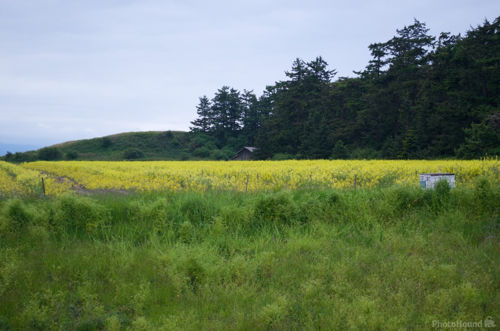 Image of Ebey’s Landing  by Steve West