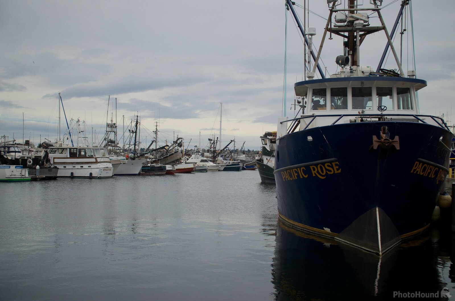 Image of Fisherman\'s Terminal by Steve West