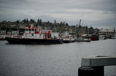 pictures of Seattle - Fisherman's Terminal