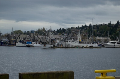 pictures of Seattle - Fisherman's Terminal