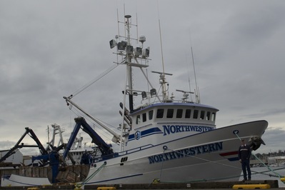 Image of Fisherman's Terminal - Fisherman's Terminal