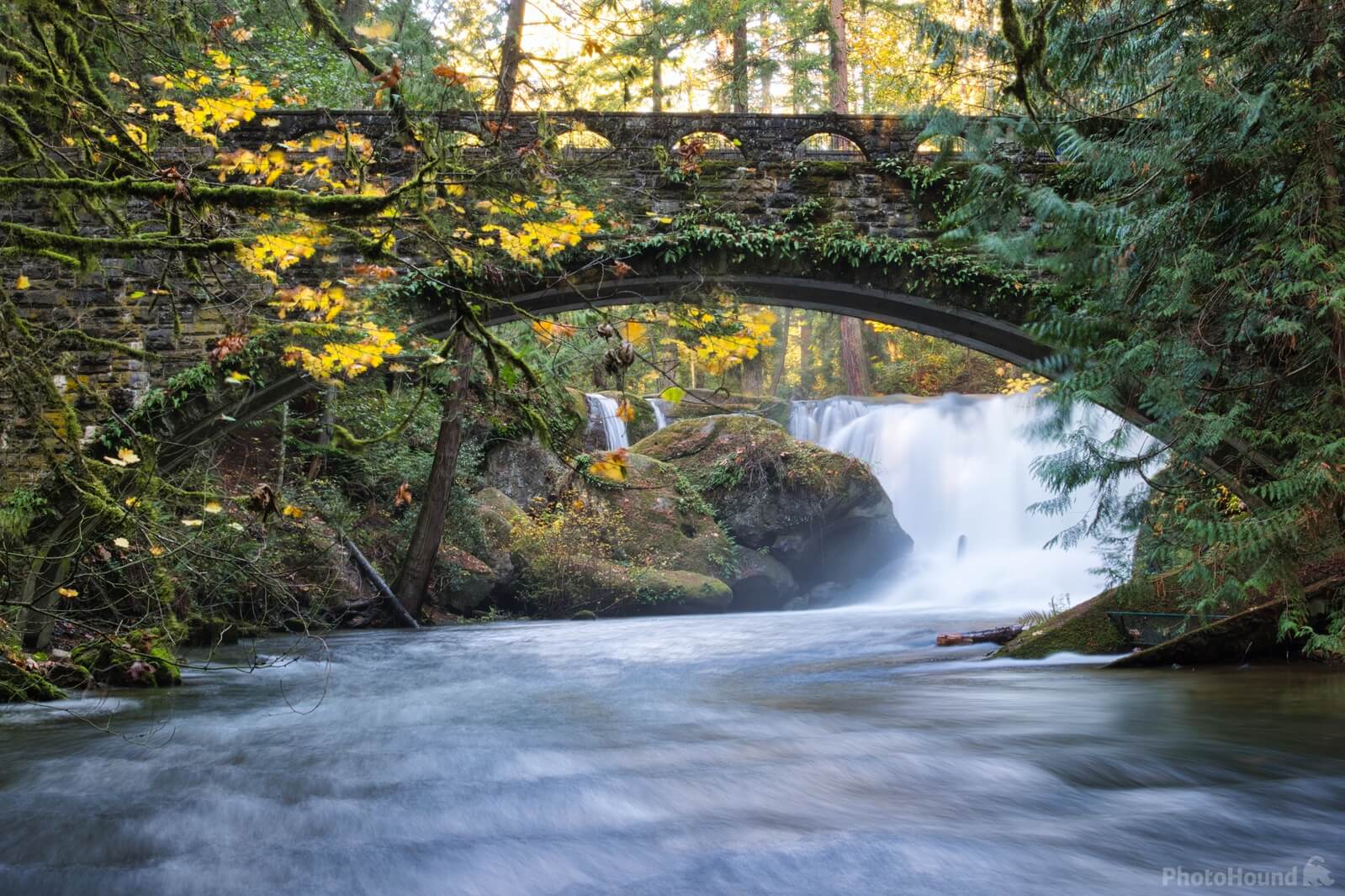 Image of Whatcom Falls by Steve West