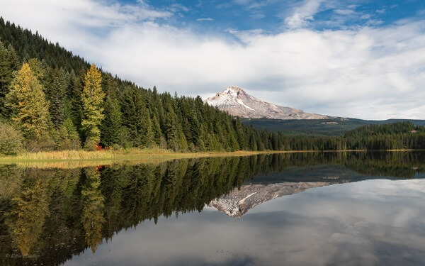 Trillium Lake in summer with Mount Hood in the distance.