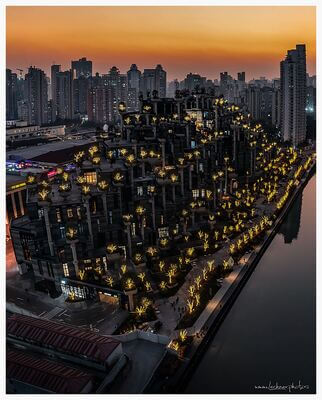 pictures of Shanghai - Heatherwick Studios - 1000 Trees