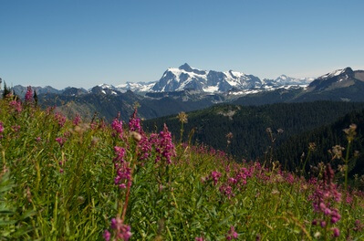 pictures of North Cascades - Skyline Divide