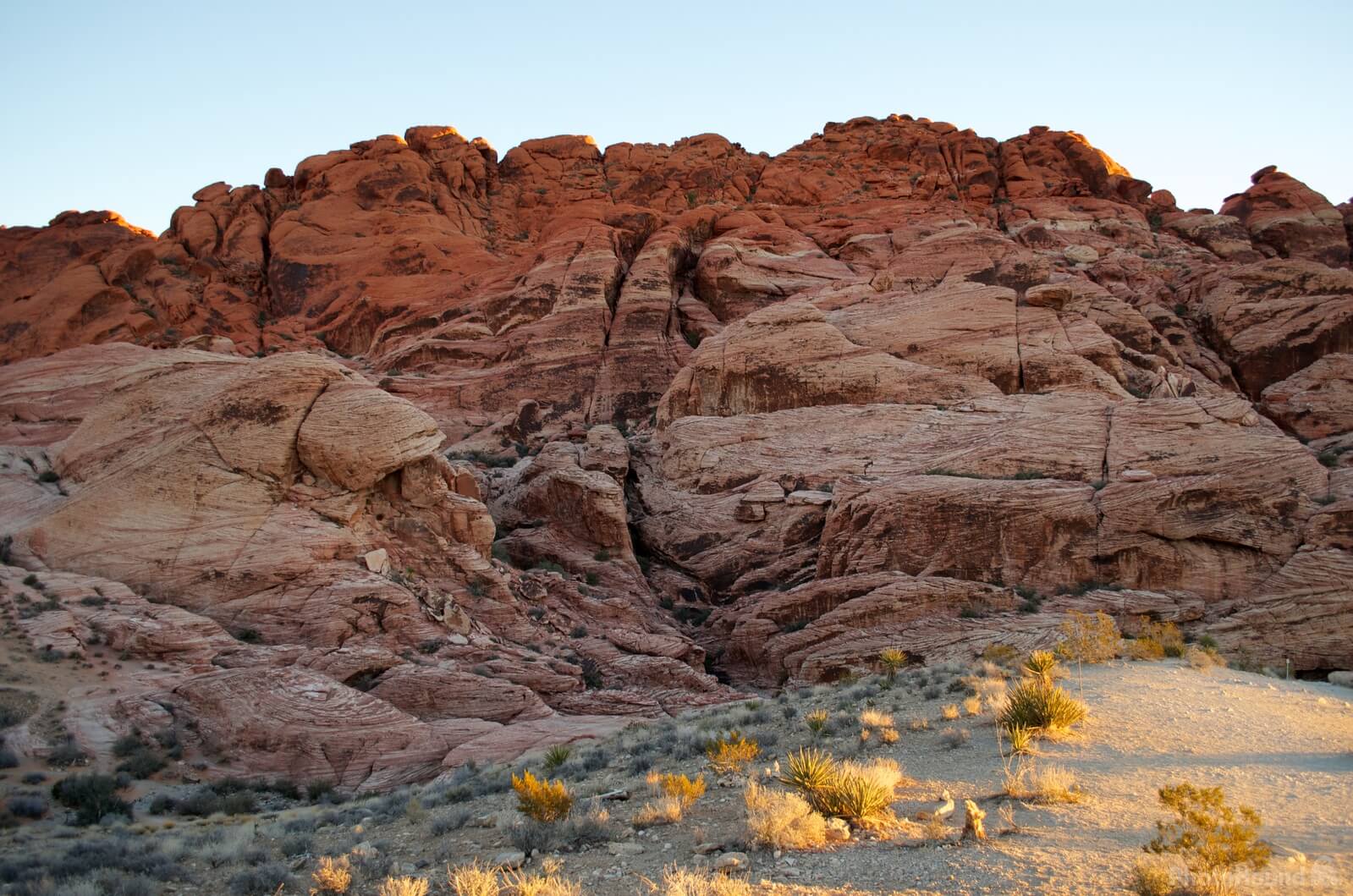 Image of Red Rock Canyon by Steve West