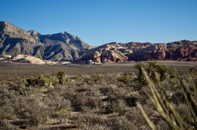 images of Las Vegas - Red Rock Canyon