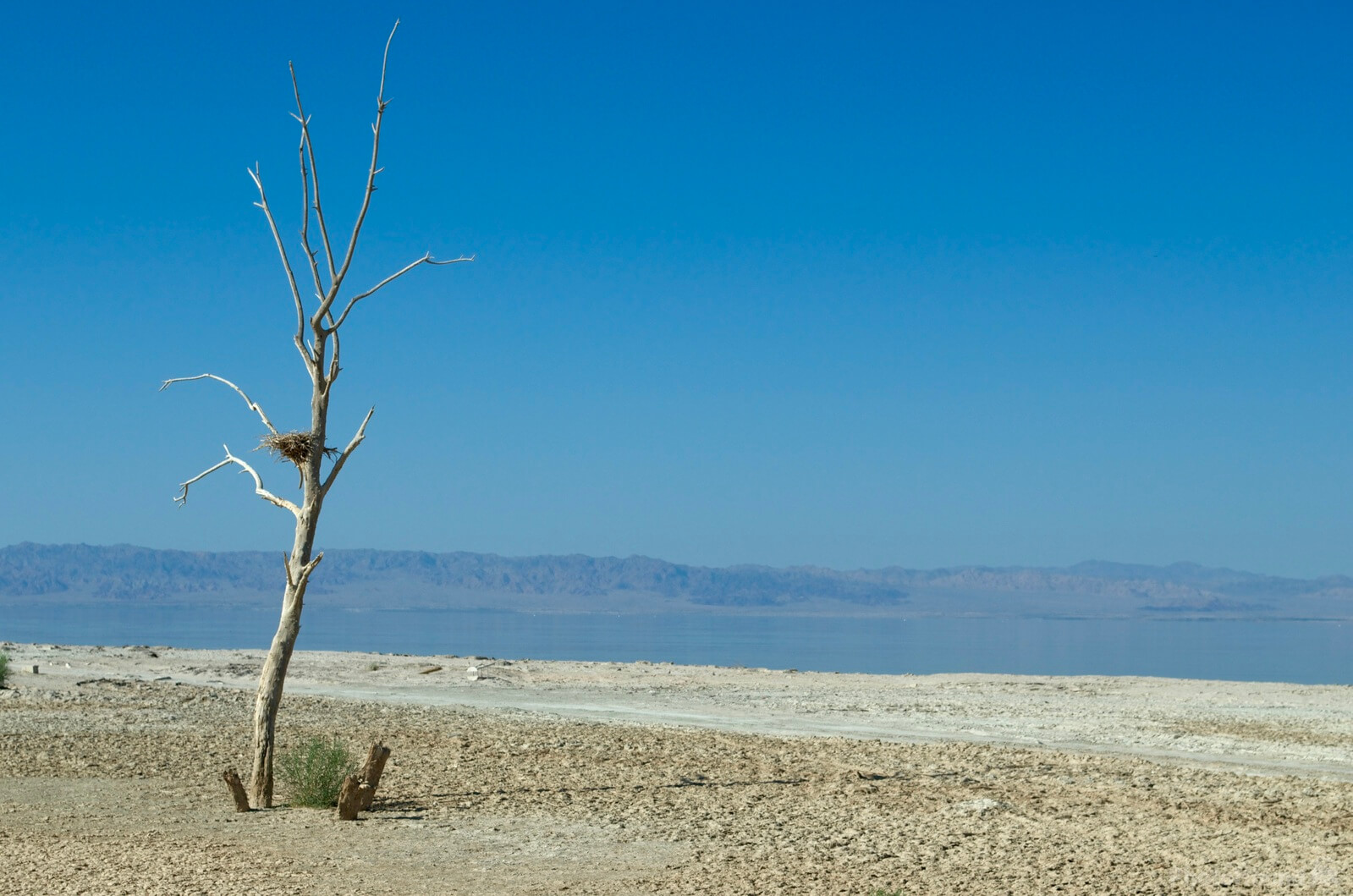 Image of Salton Sea, California by Steve West