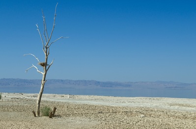 Photo of Salton Sea, California - Salton Sea, California