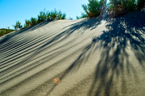 You'll pass by this little bit of sand on your way to the point.