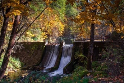 Oregon photography locations - Lithia Park