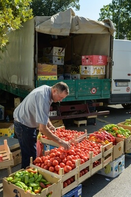 Image of Tijabarska Pijaca (Produce Market) - Tijabarska Pijaca (Produce Market)