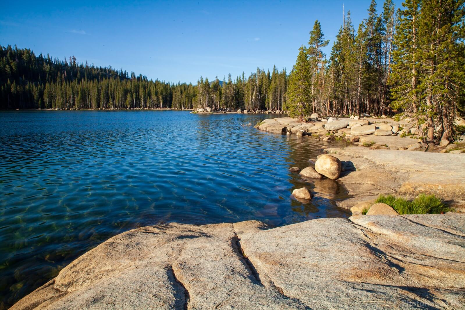 Image of Tenaya Lake from the West End by Greg Valle