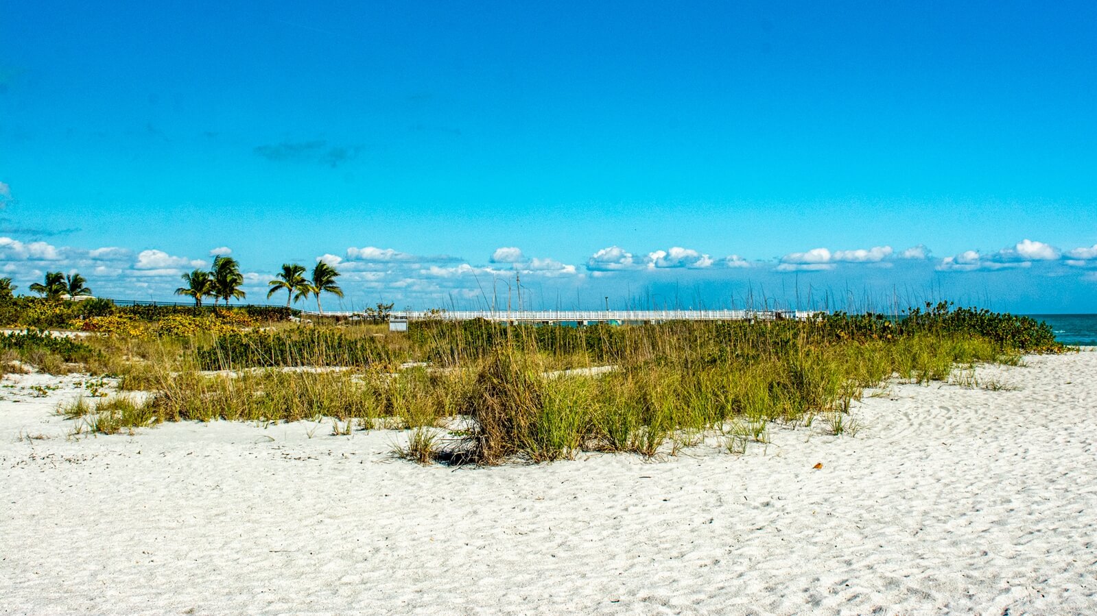 Image of Gasparilla Island State Park 1024732