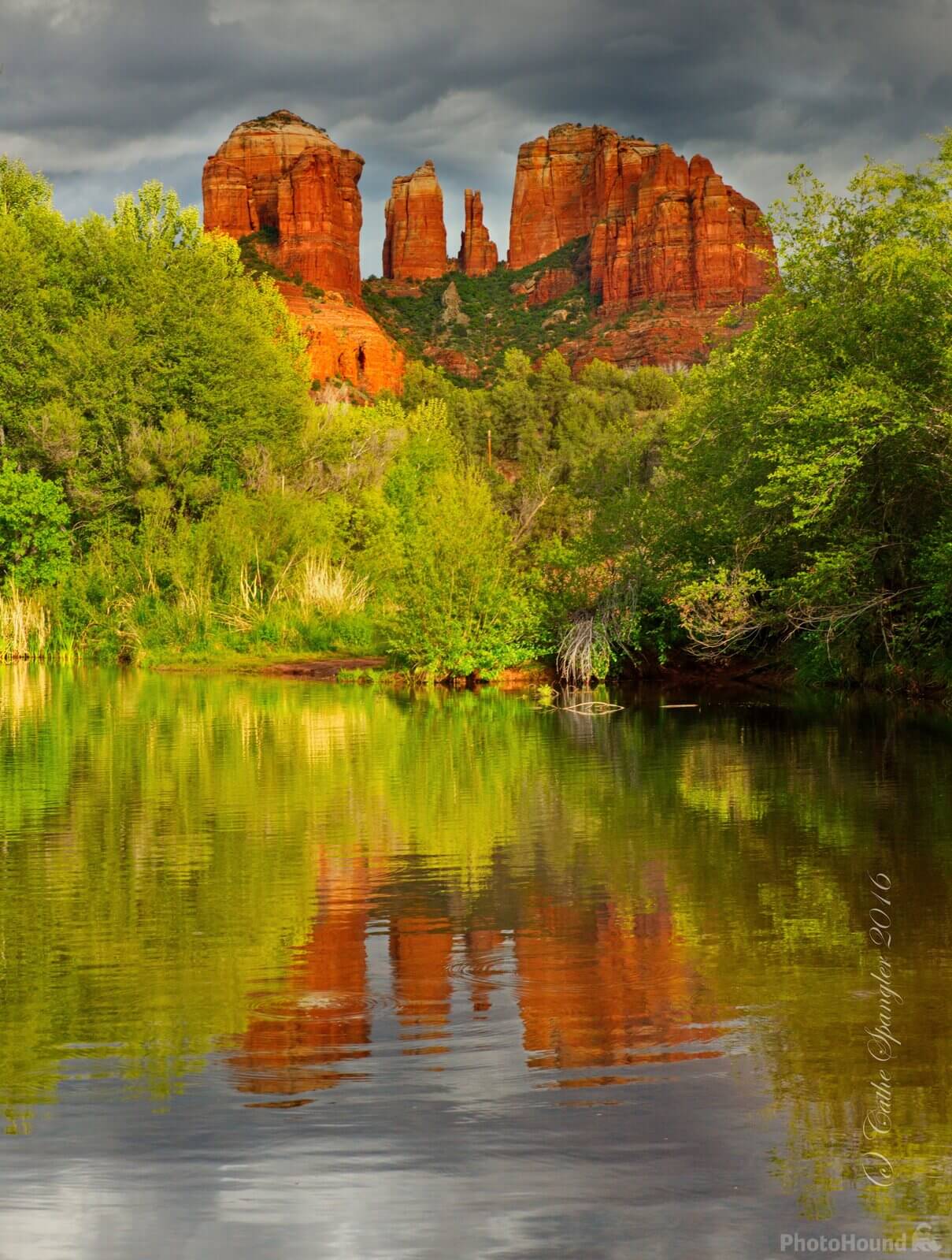 Image of View of Cathedral Rock by Cathe Spangler