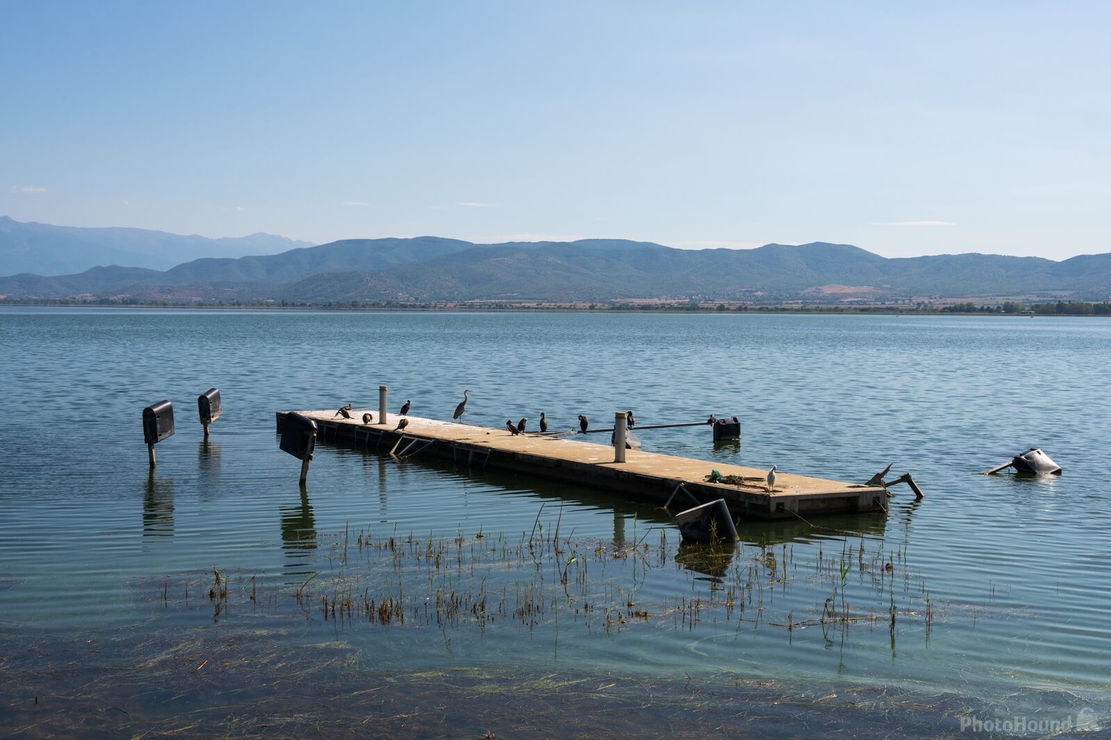 Image of Gradska Plaža - Lake Dojran by Luka Esenko