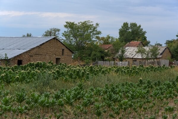Erekovci Village