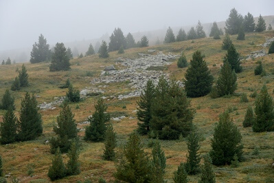 photography spots in North Macedonia - Široka Mountain Hut - Pelister National Park