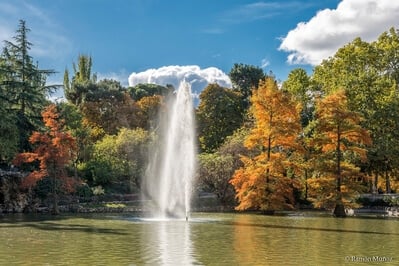 Pond of the Crystal Palace in the Retiro Park