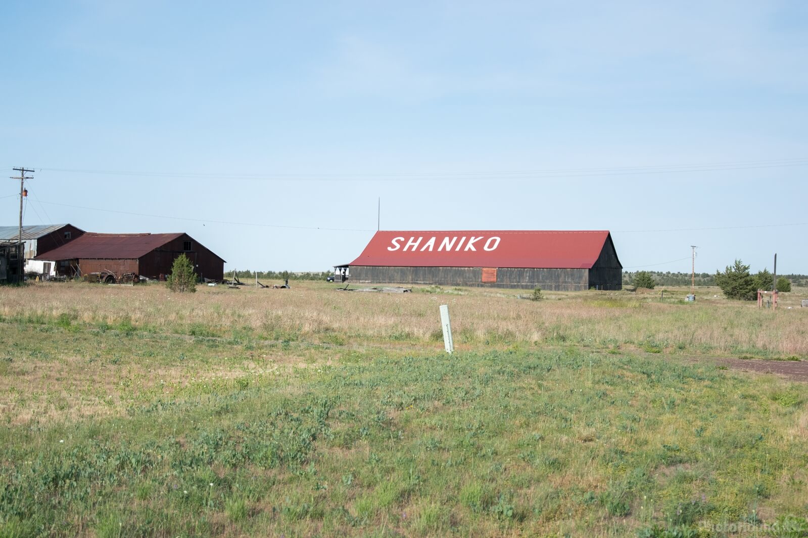 Image of Shaniko Town by Steve West