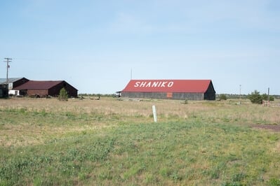 Shaniko Town