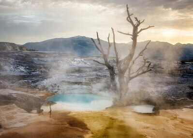 images of Yellowstone National Park - Mammoth Hot Springs (MHS) General