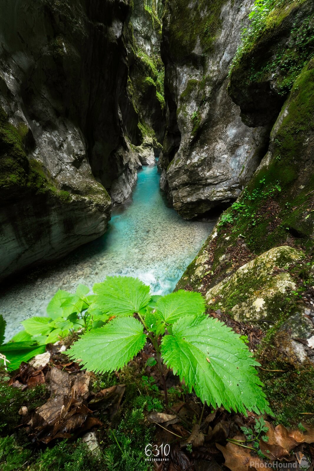 Image of Tolminka Gorge by Alan Bučar Vukšić