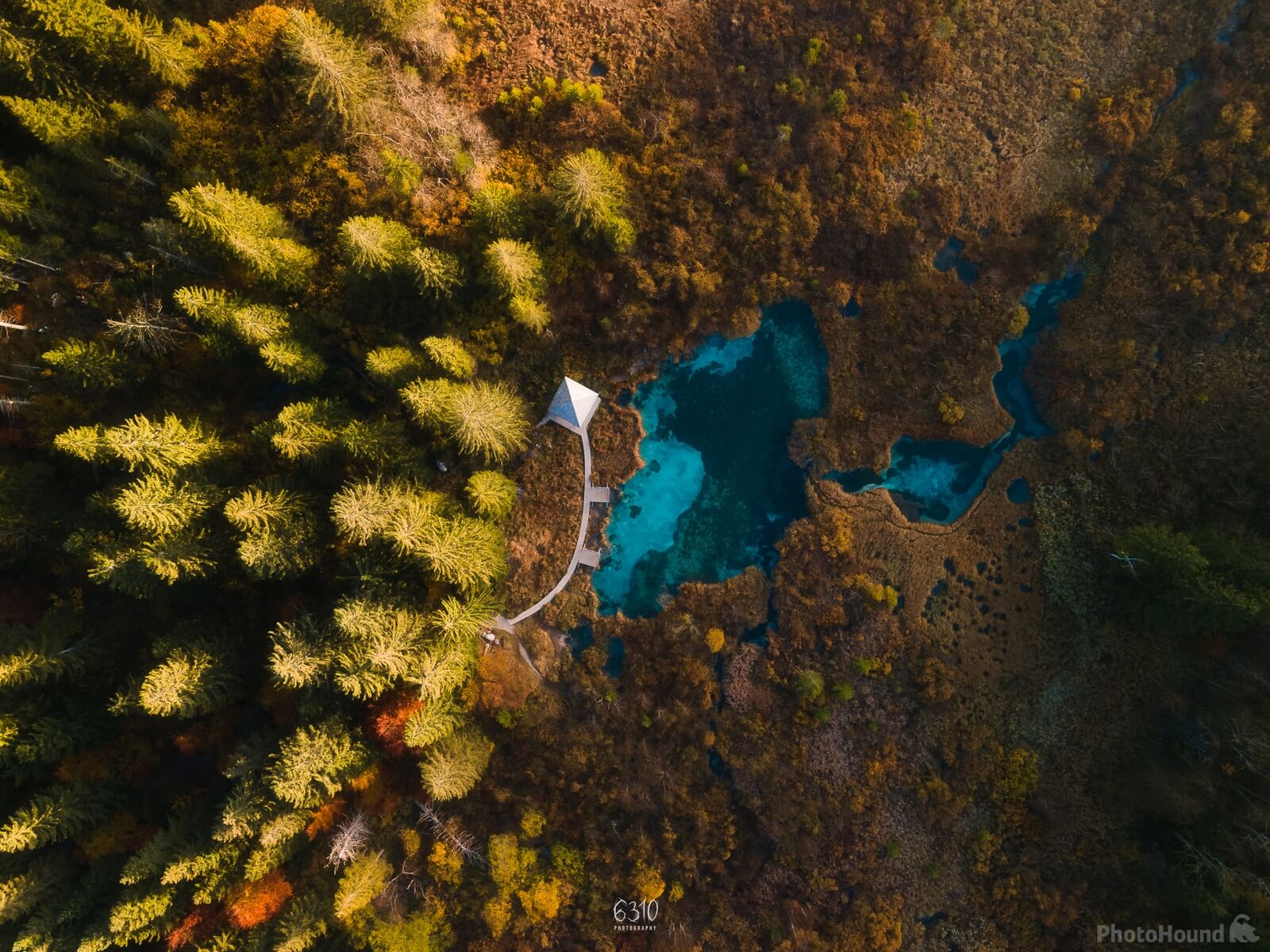 Image of Zelenci Springs by Alan Bučar Vukšić