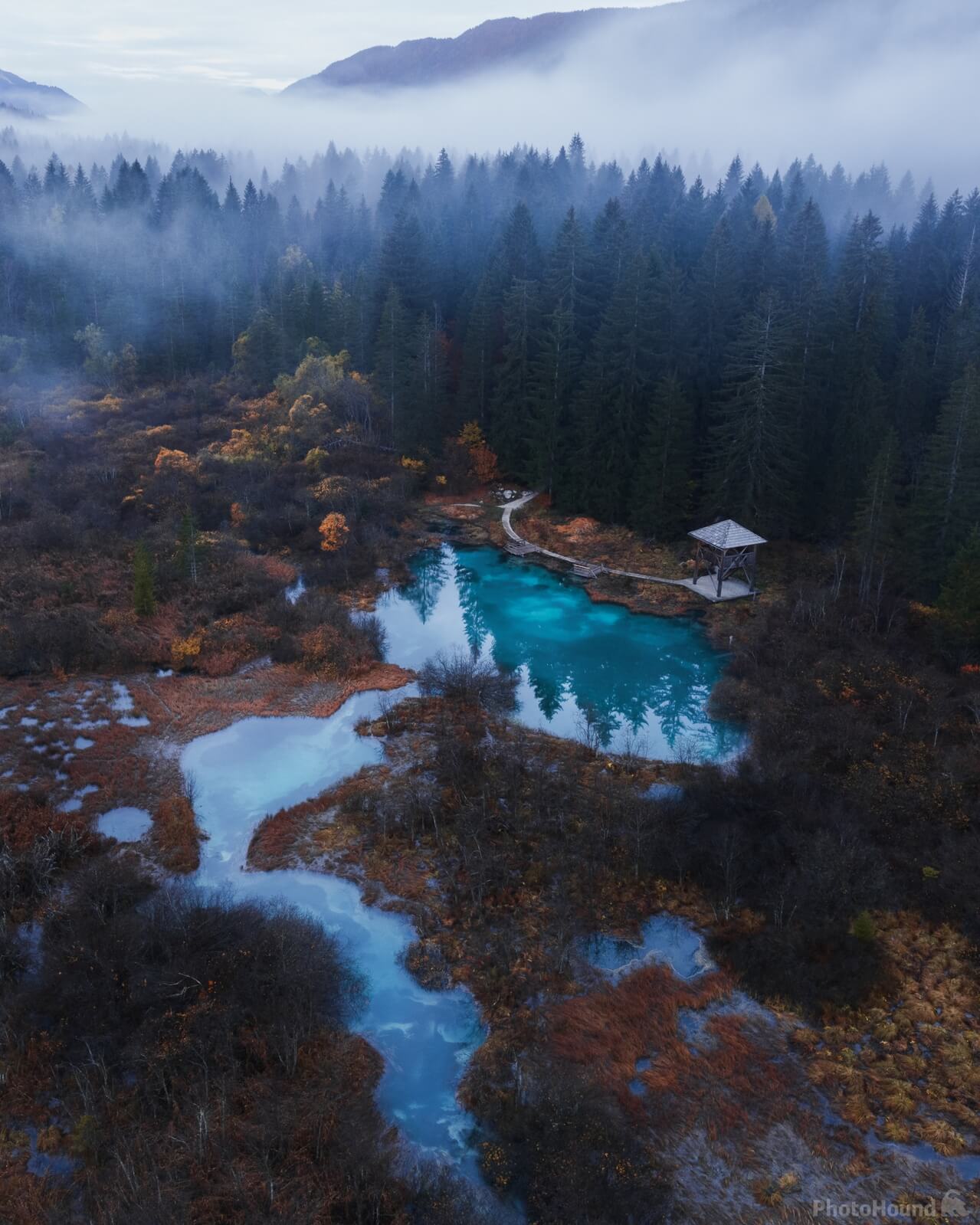 Image of Zelenci Springs by Alan Bučar Vukšić