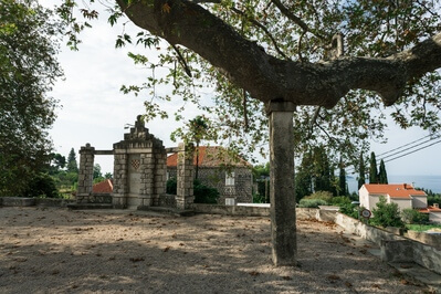 images of Croatia - Huge Plane Trees at Trsteno