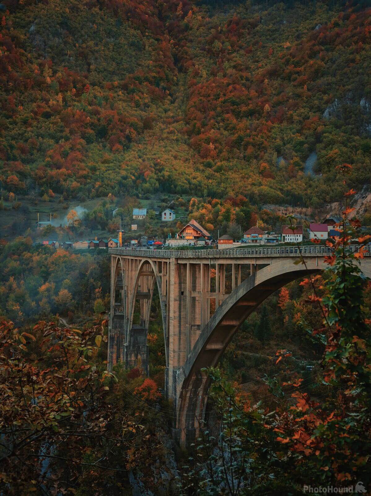 Image of Đurđevića Tara Bridge View by Team PhotoHound
