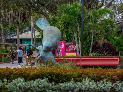Manatee statue located just inside of zoo entrance.