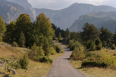 Road down to Sušica Canyon