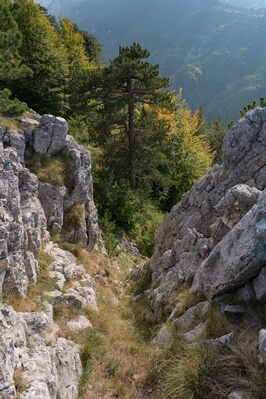 Photo of Sušica Canyon From the East Side - Sušica Canyon From the East Side