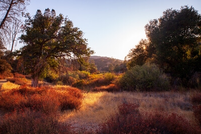 photo locations in California - North Wilderness Trail